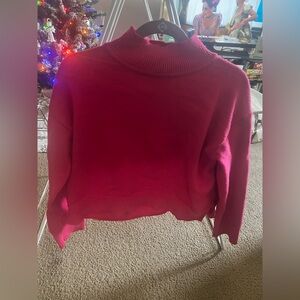 Ann Taylor Factory Fuchsia Turtleneck Sweater